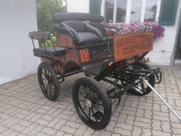 Universal Wagonette Freizeitkutsche Exklusiv 10.200 – Bild 2