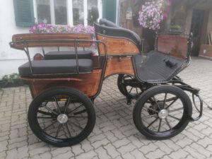 Universal Wagonette Freizeitkutsche Exklusiv 10.200