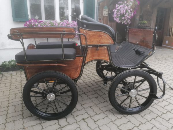 Universal Wagonette Freizeitkutsche Exklusiv 10.200
