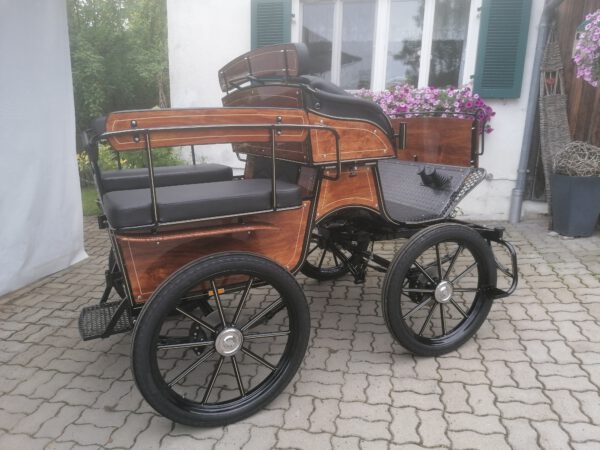 Universal Wagonette Freizeitkutsche Exklusiv 10.200 – Bild 3