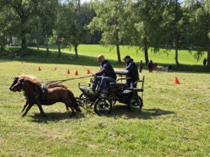Mini Shetty Ponykutsche Universal Marathonwagen Nr. 06.510